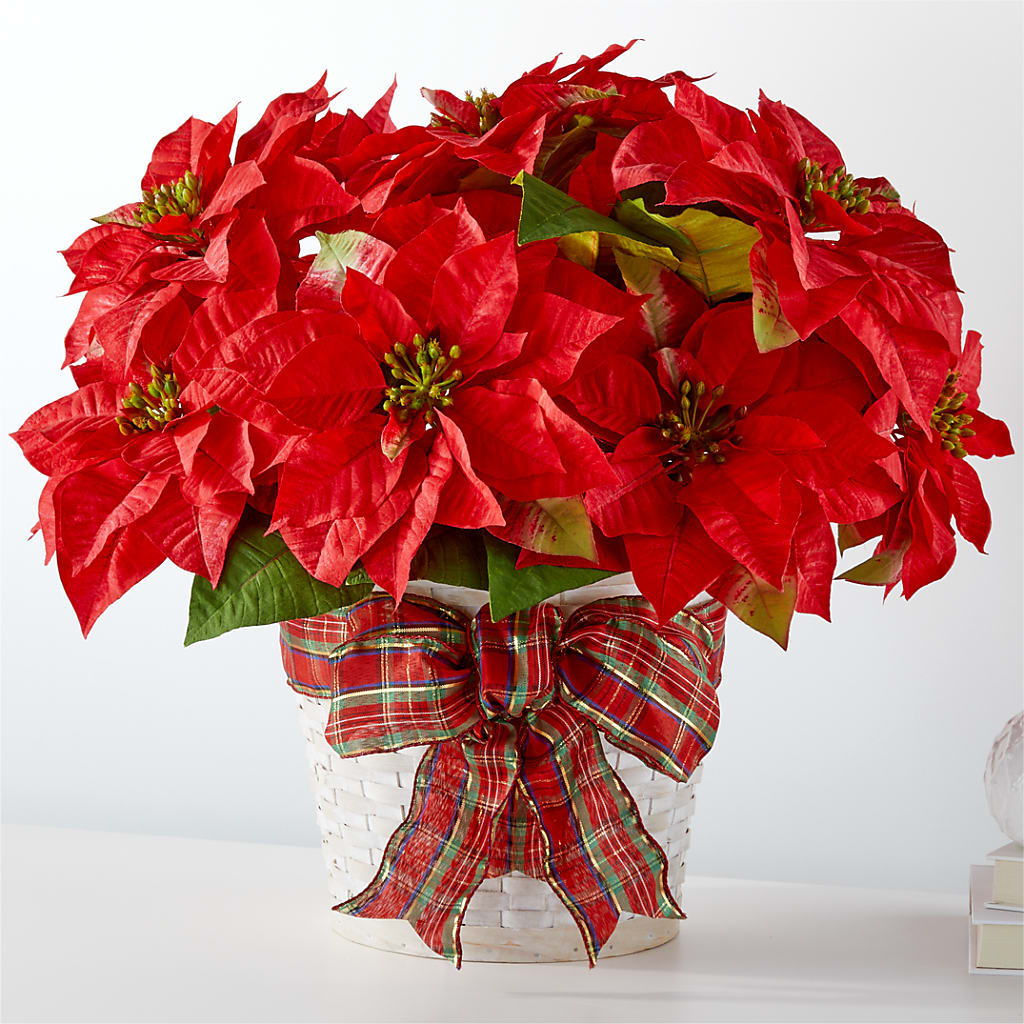 Happiest Holidays Poinsettia – Fred Meyer, Portland OR