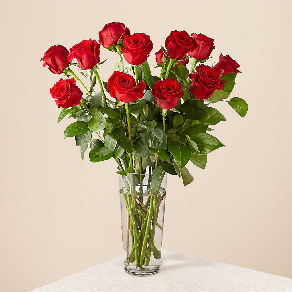 Long Stem Red Rose Bouquet – Fred Meyer, Portland OR