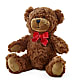 Adorable Plush Bear – Fred Meyer, Portland OR
