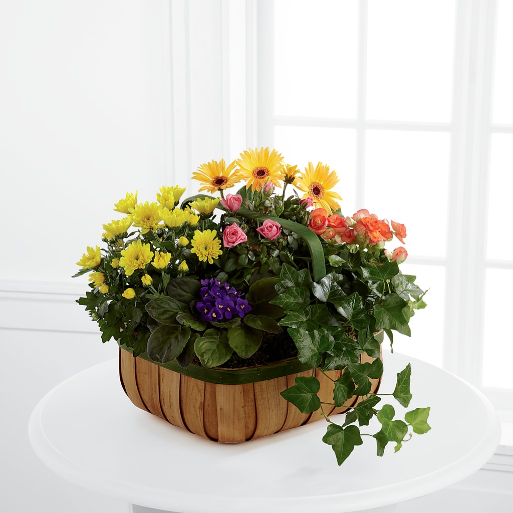 Gentle Blossoms Basket – Fred Meyer, Portland OR