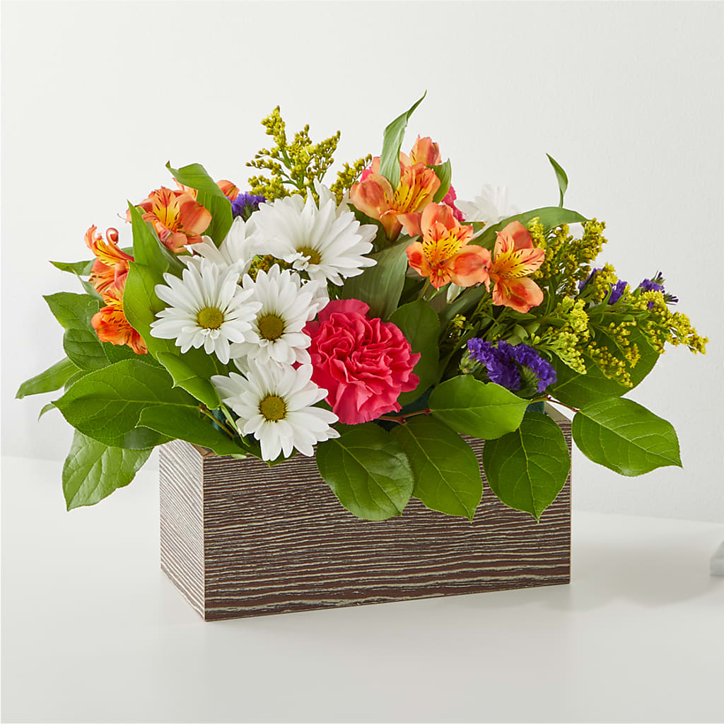 Oopsie Daisy Box Bouquet – Fred Meyer, Portland OR