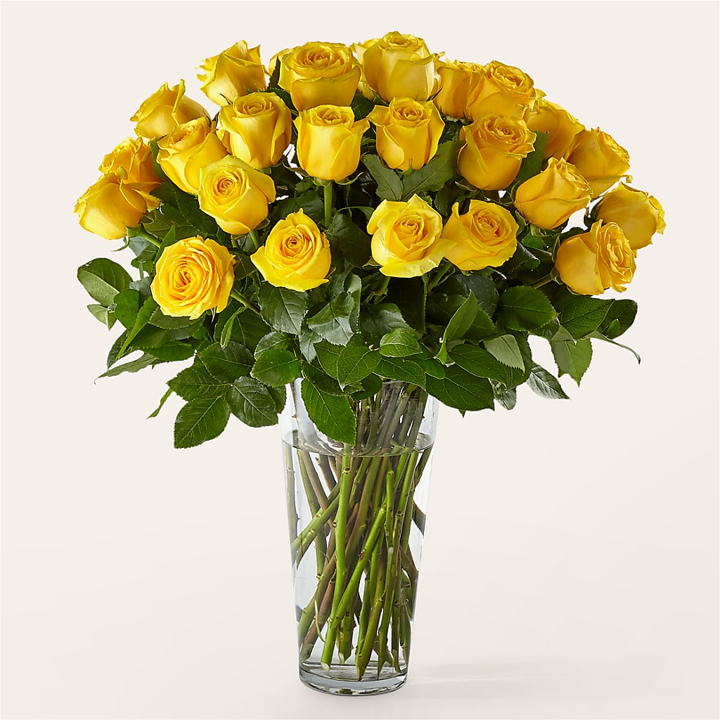 Long Stem Yellow Rose Bouquet – Fred Meyer, Portland OR