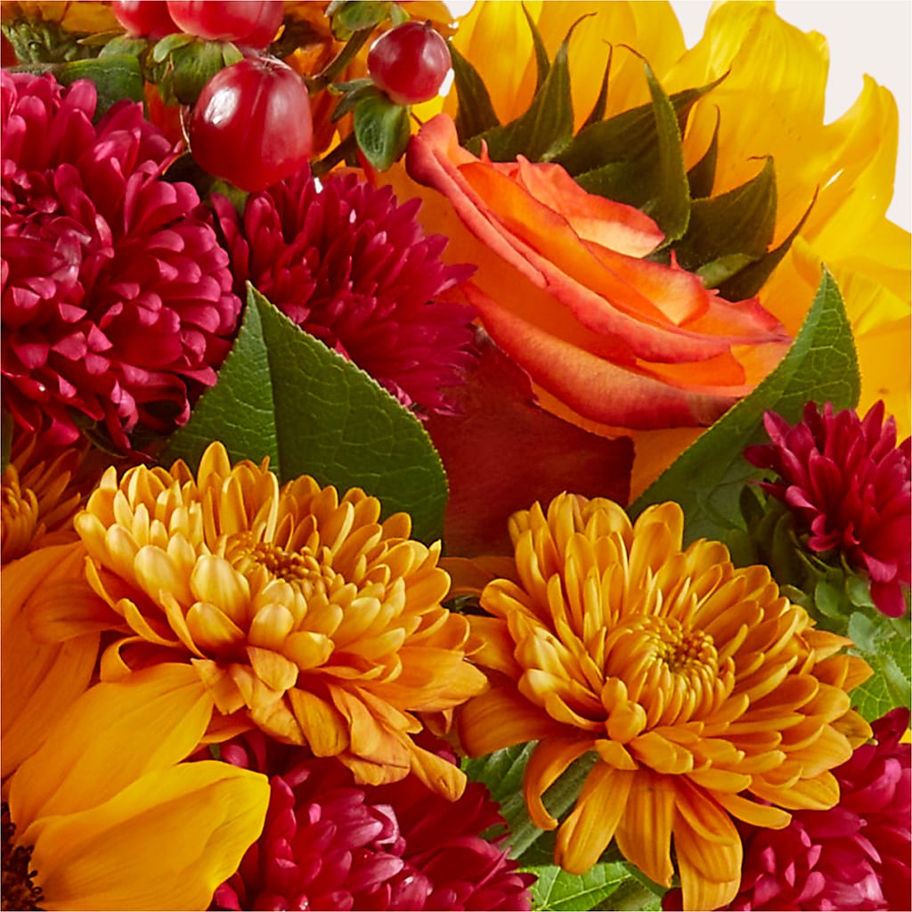 Sweater Season - A Florist Original – Fred Meyer, Portland OR