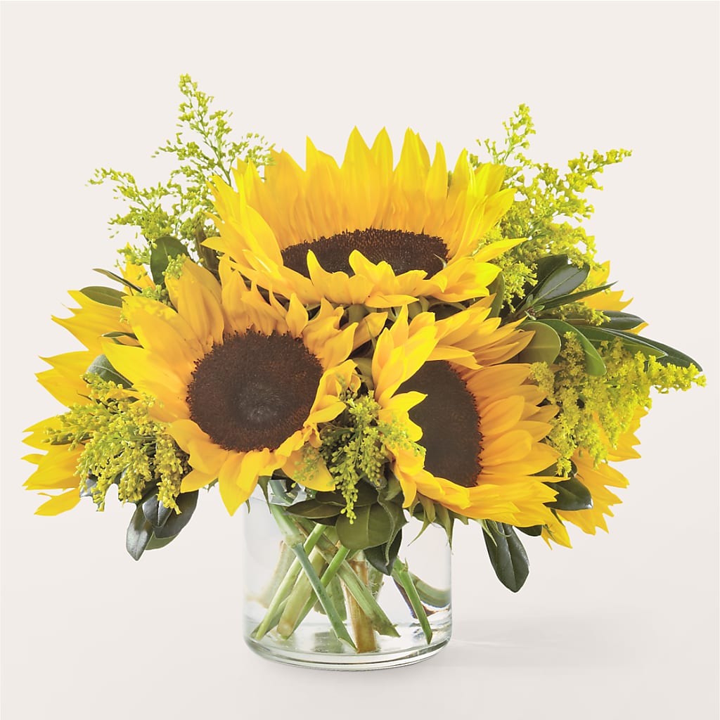 Beaming Sunflower Bouquet – Fred Meyer, Portland OR