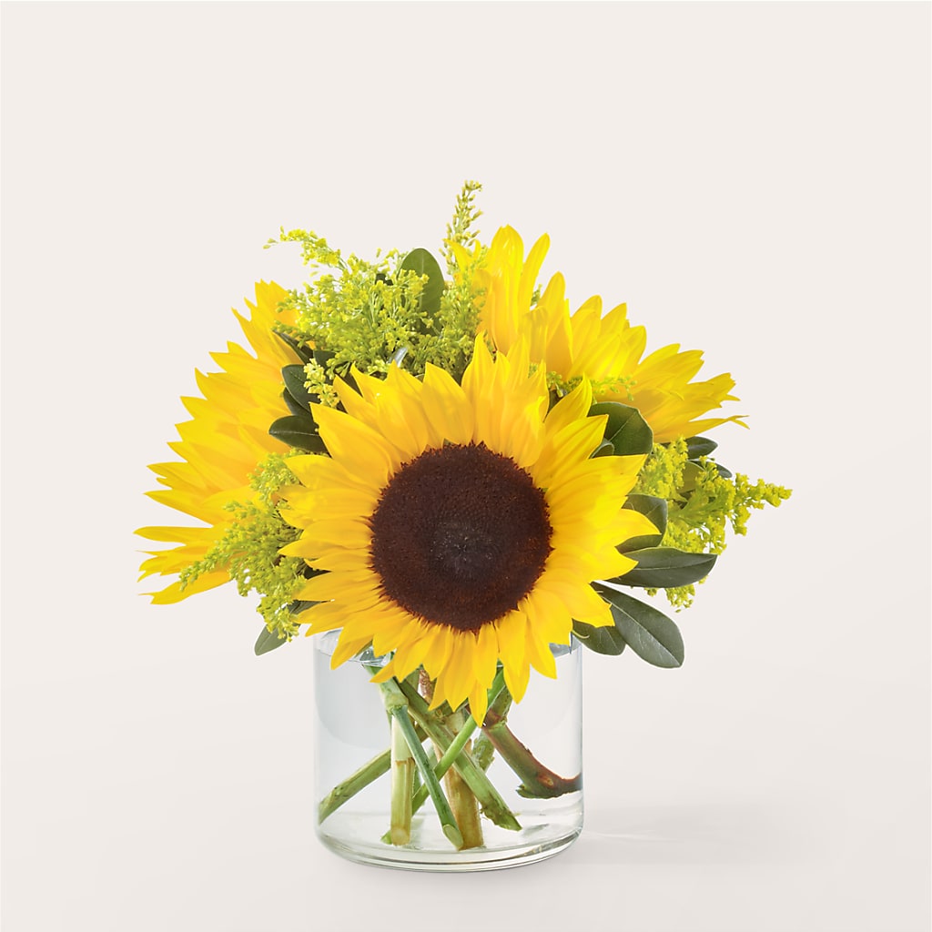 Beaming Sunflower Bouquet – Fred Meyer, Portland OR