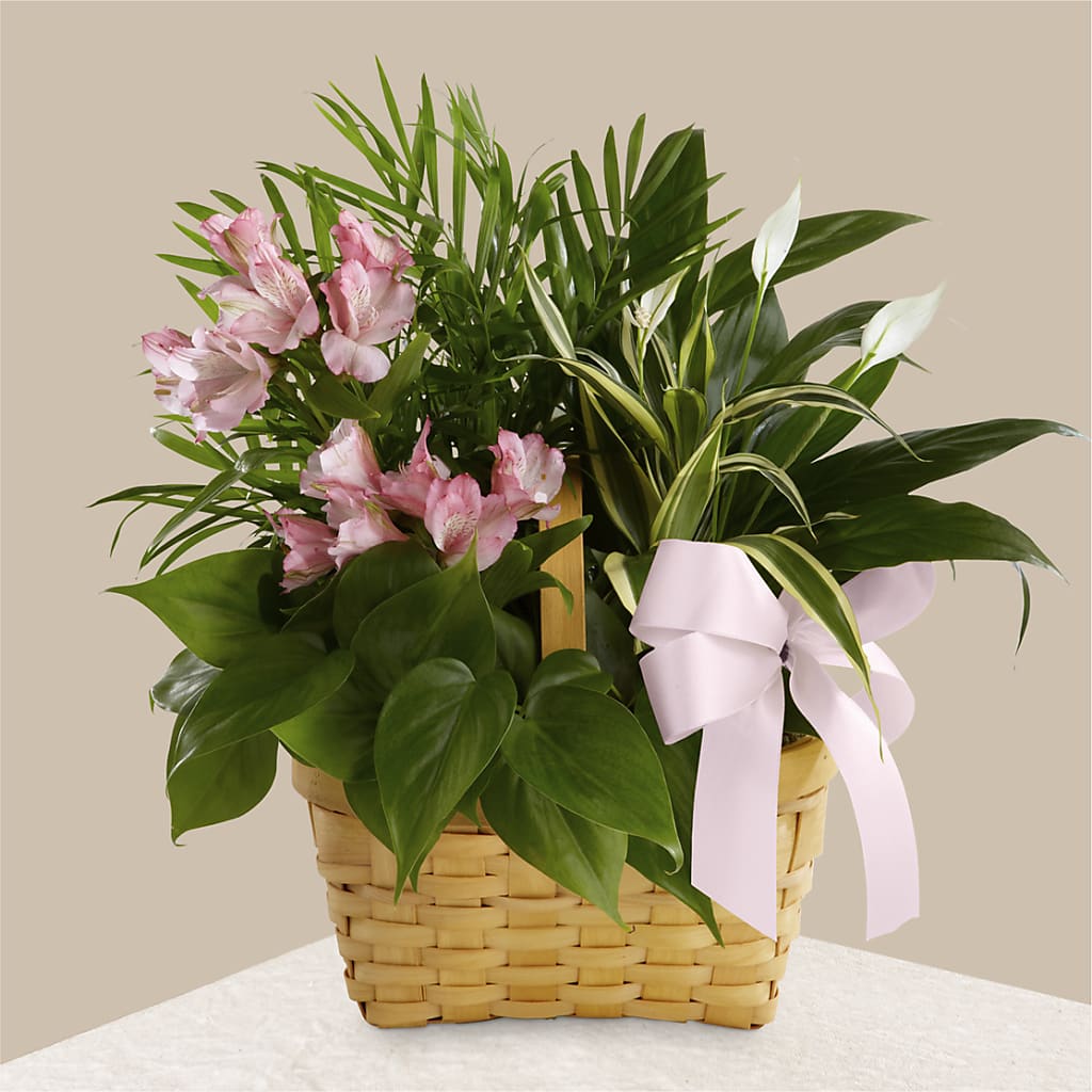 Living Spirit Dishgarden – Fred Meyer, Portland OR