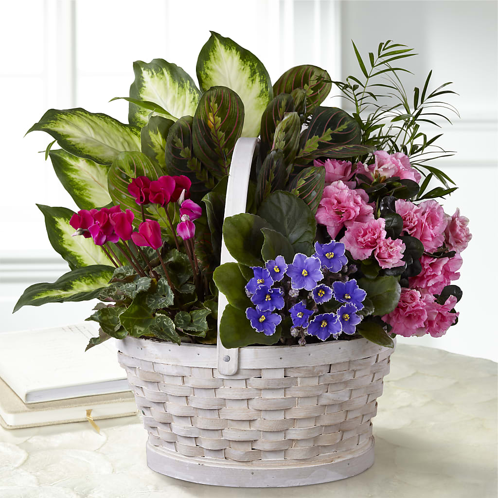 Peaceful Garden Planter – Fred Meyer, Portland OR
