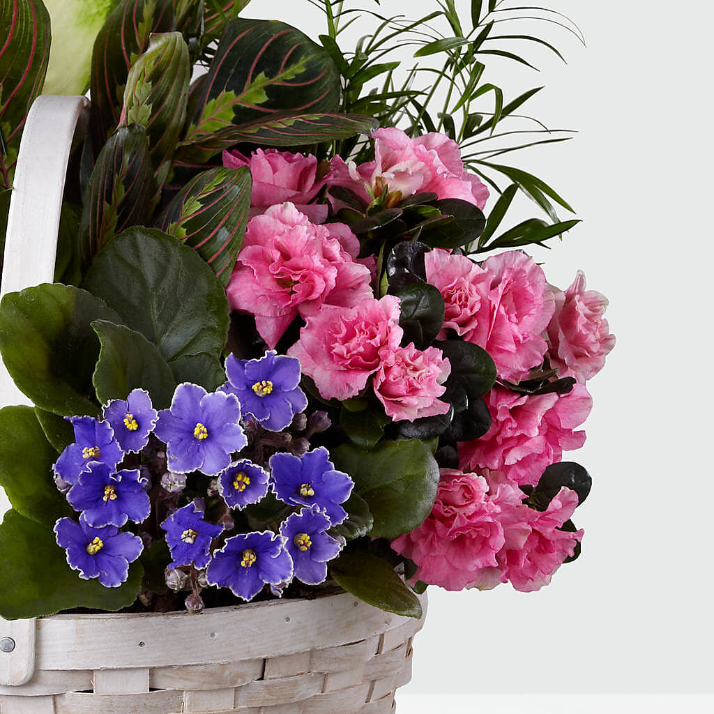 Peaceful Garden Planter – Fred Meyer, Portland OR