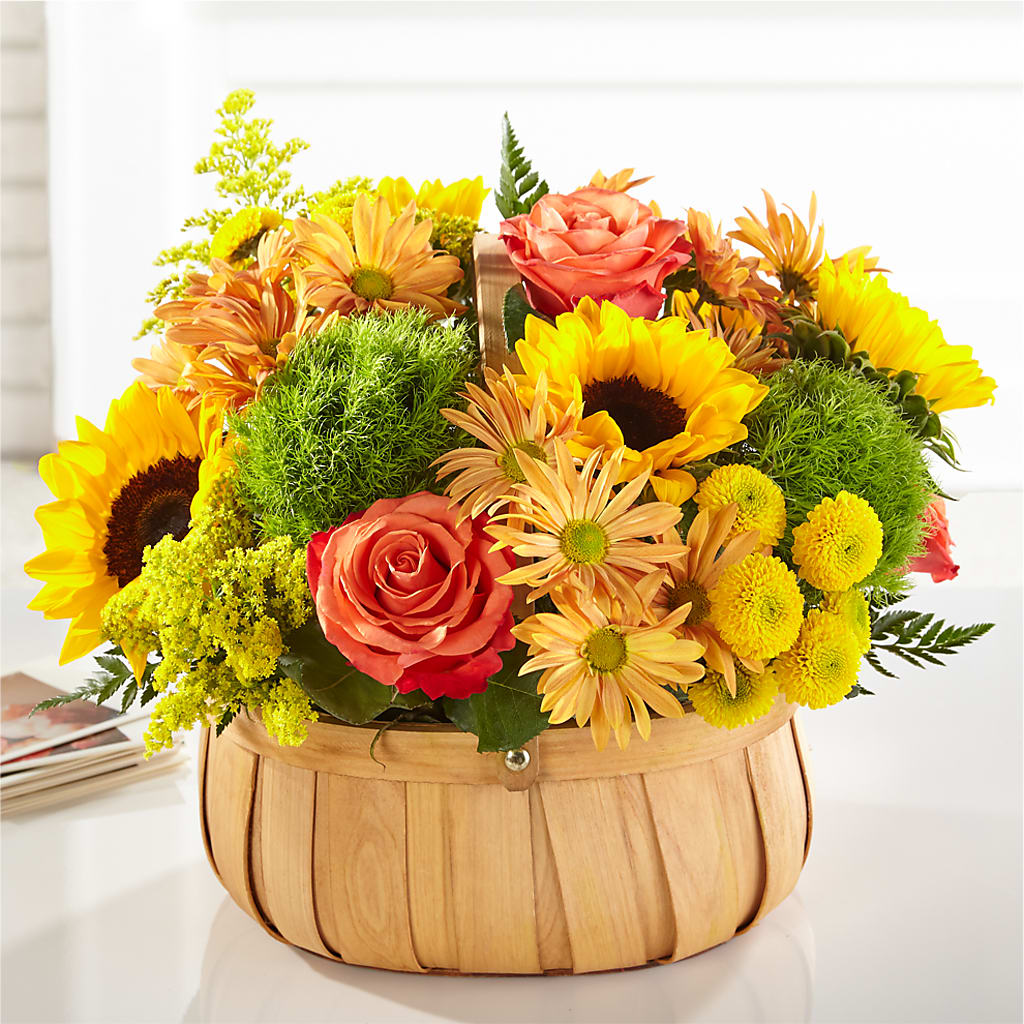 Harvest Sunflower Basket – Fred Meyer, Portland OR