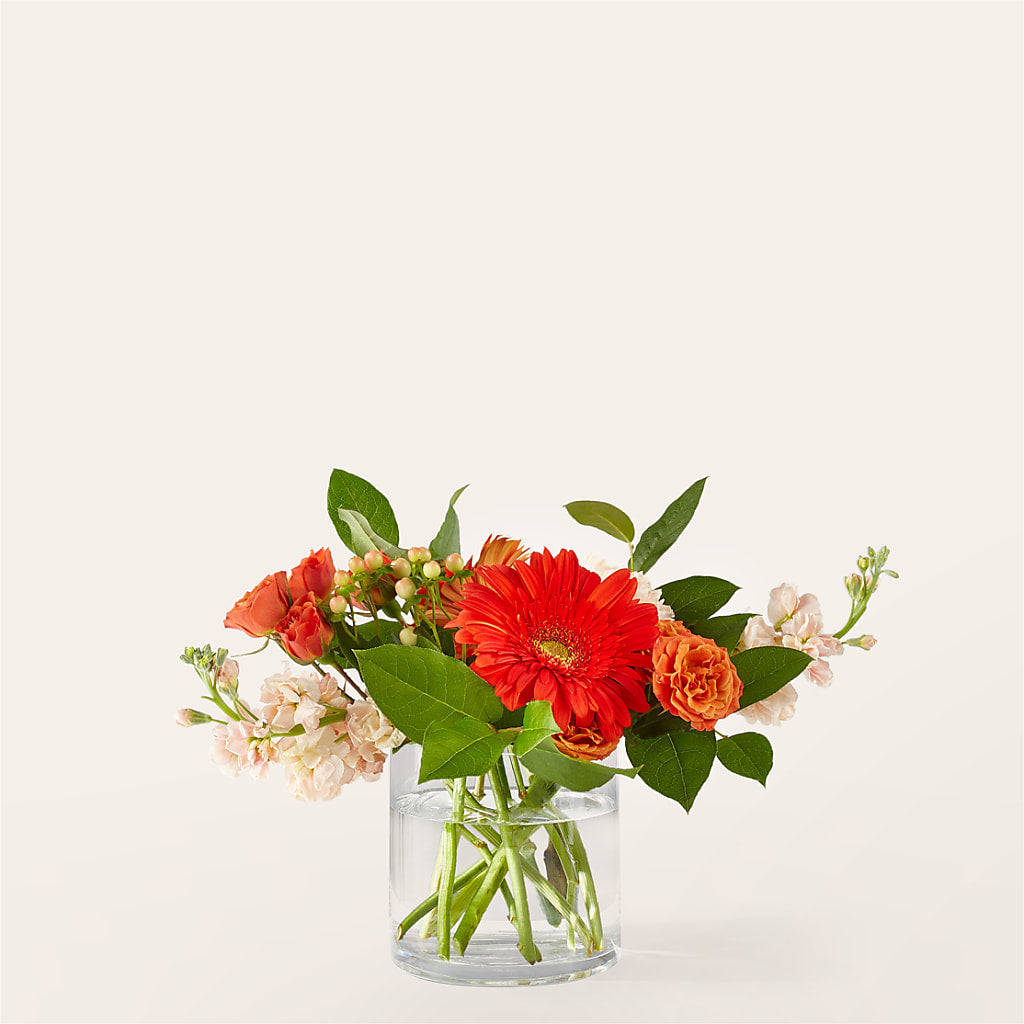 Paloma Please Bouquet – Fred Meyer, Portland OR