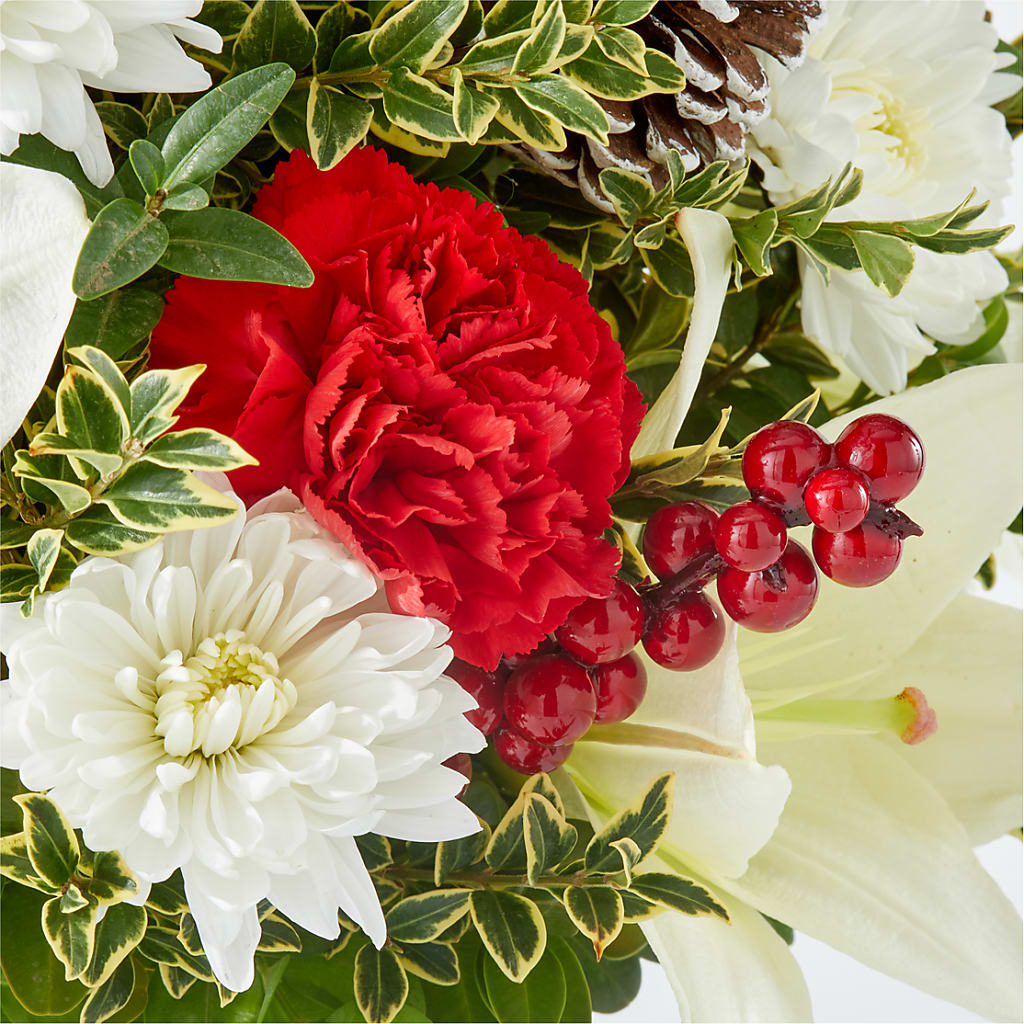 Festive Moments Tree –  Fred Meyer, Portland OR