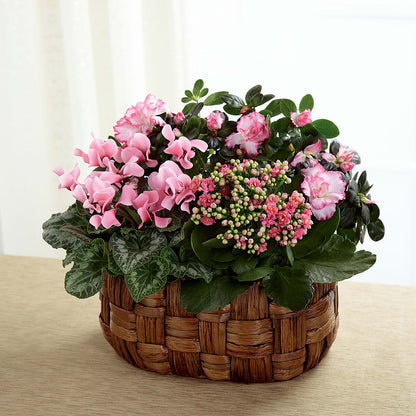 Pink Assortment –  Fred Meyer, Portland OR