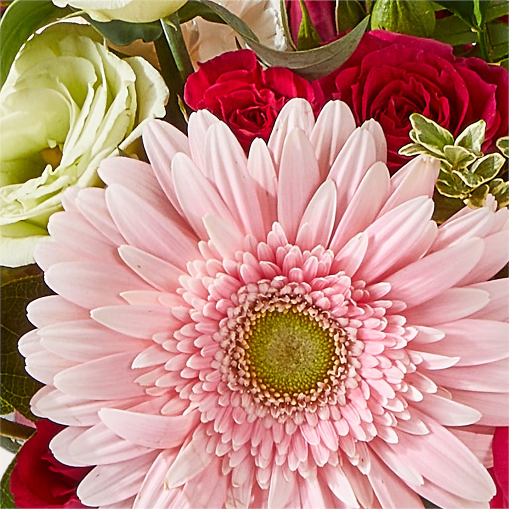 Too Cute Bouquet –  Fred Meyer, Portland OR