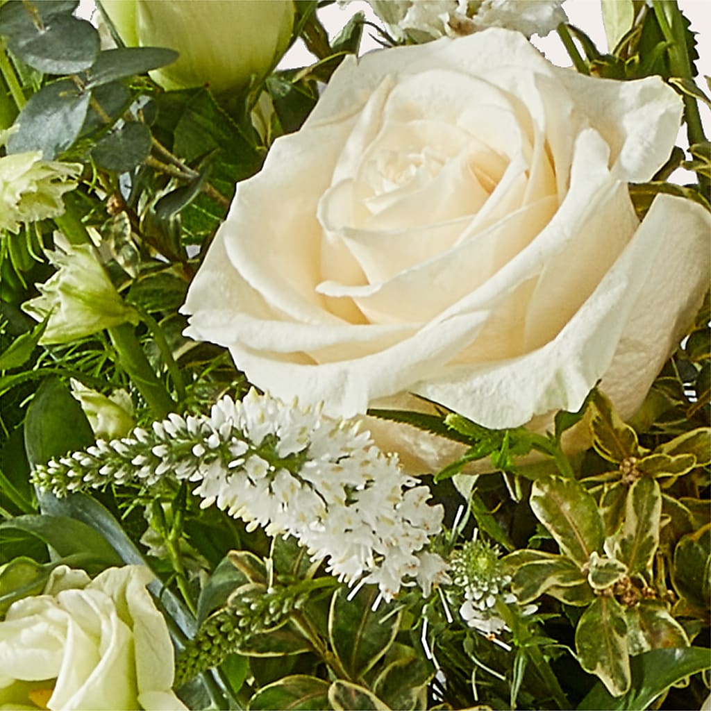 Cashmere Bouquet –  Fred Meyer, Portland OR