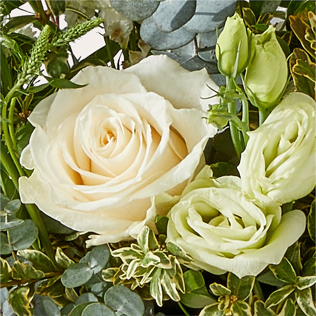 Cashmere Bouquet –  Fred Meyer, Portland OR