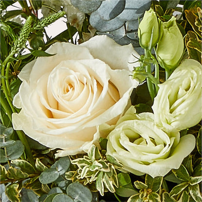 Cashmere Bouquet –  Fred Meyer, Portland OR