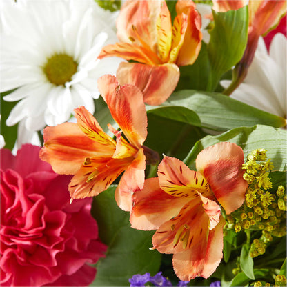 Oopsie Daisy Box Bouquet –  Fred Meyer, Portland OR