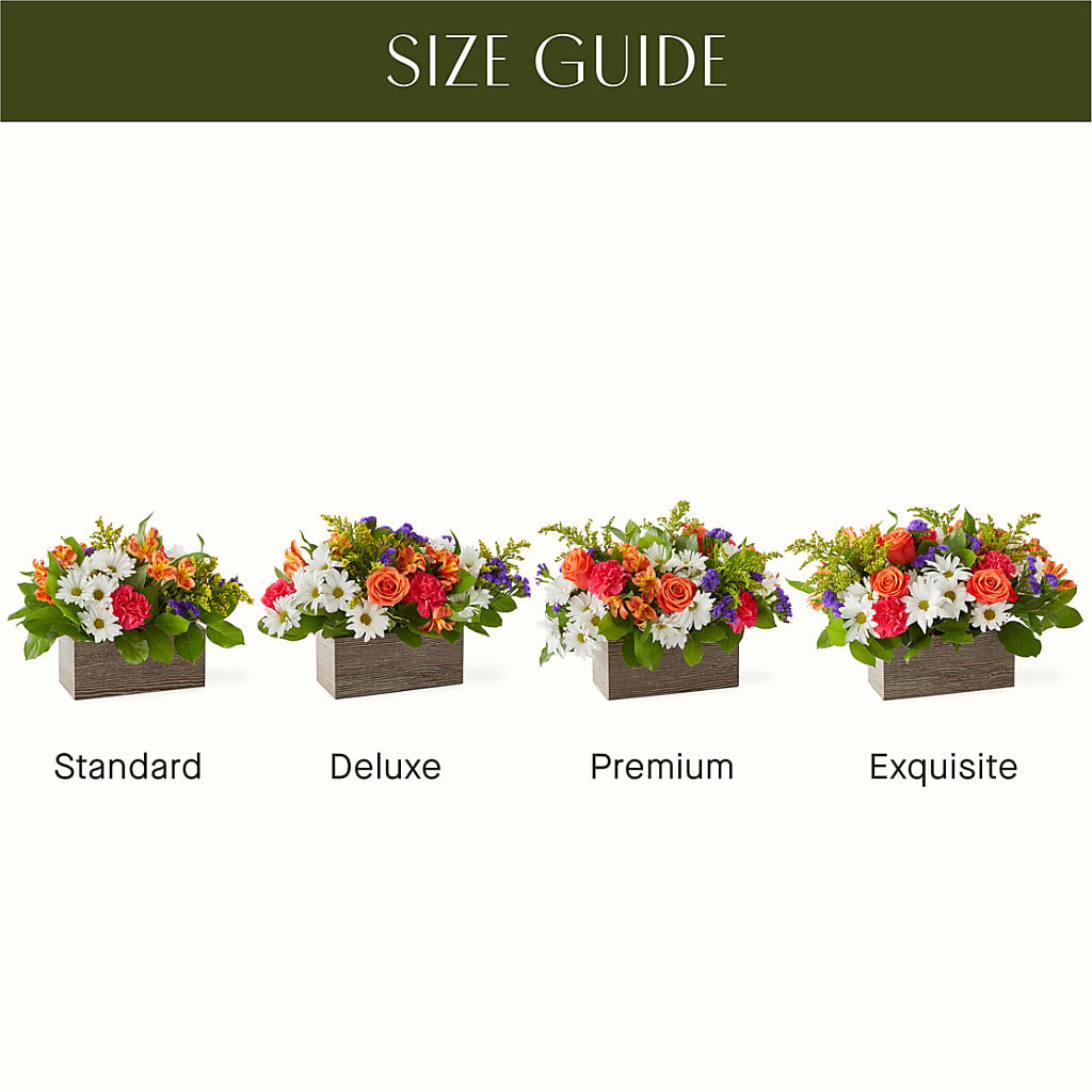 Oopsie Daisy Box Bouquet –  Fred Meyer, Portland OR