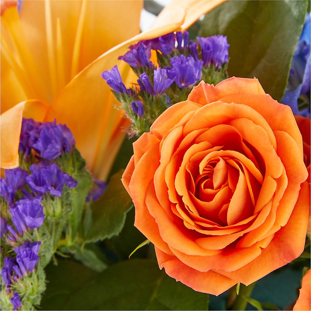 Radiant Citrus Box Bouquet –  Fred Meyer, Portland OR