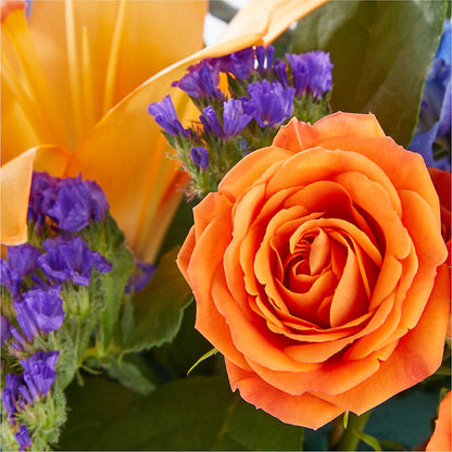 Radiant Citrus Box Bouquet –  Fred Meyer, Portland OR