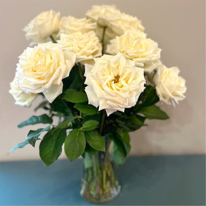 Long Stem Yellow Rose Bouquet –  Fred Meyer, Portland OR