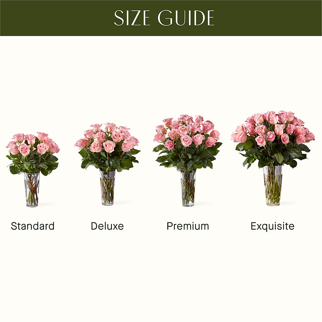 Long Stem Pink Rose Bouquet –  Fred Meyer, Portland OR