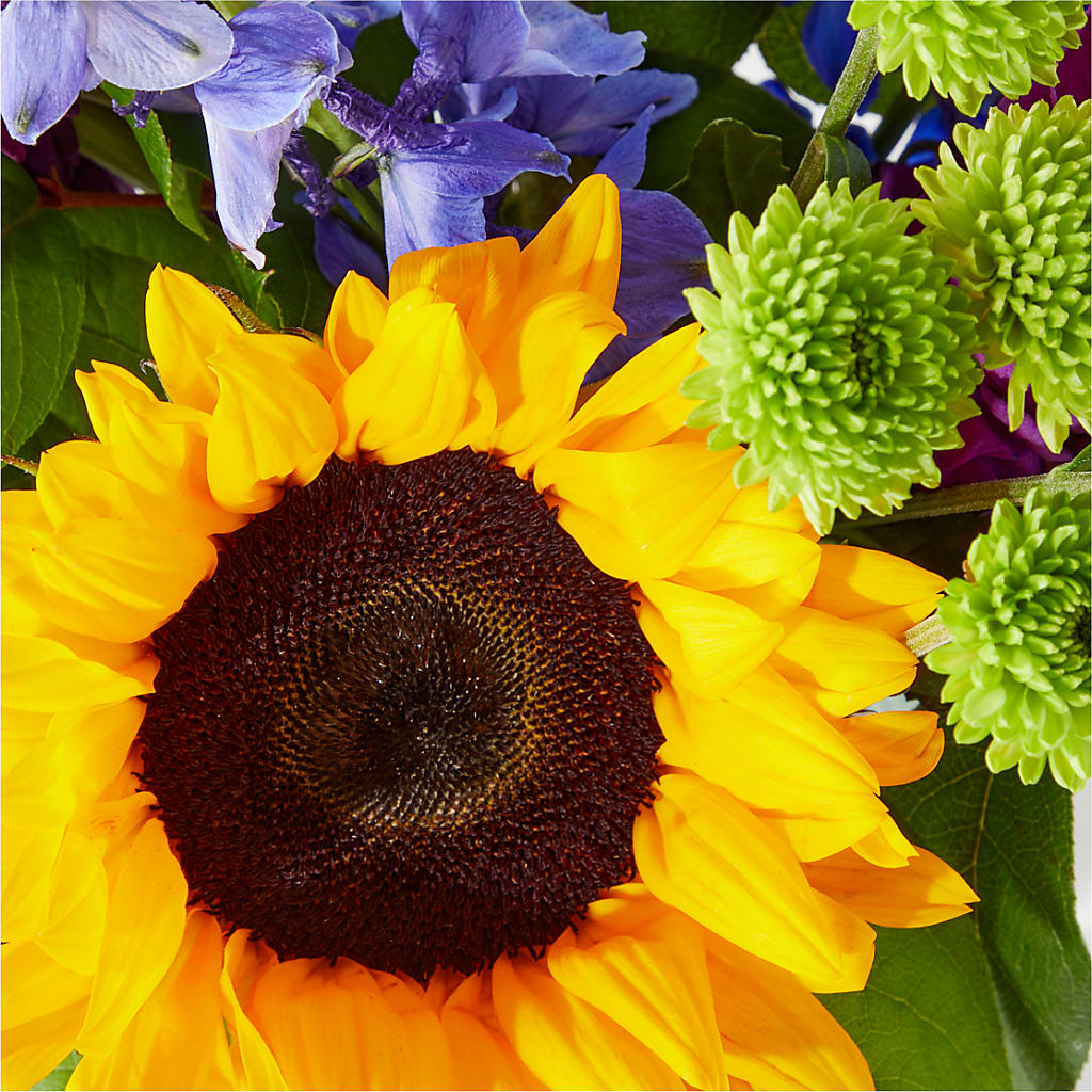 Catching Rays Bouquet –  Fred Meyer, Portland OR