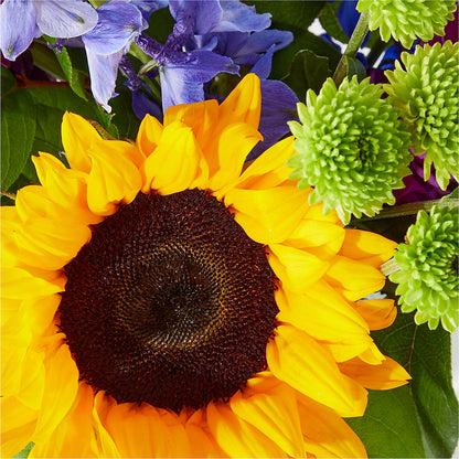 Catching Rays Bouquet –  Fred Meyer, Portland OR