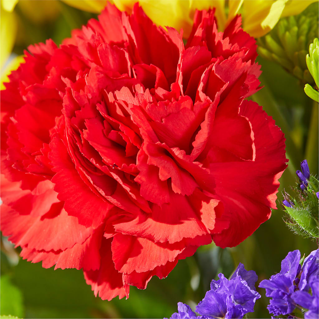 Brighter Days Bouquet –  Fred Meyer, Portland OR
