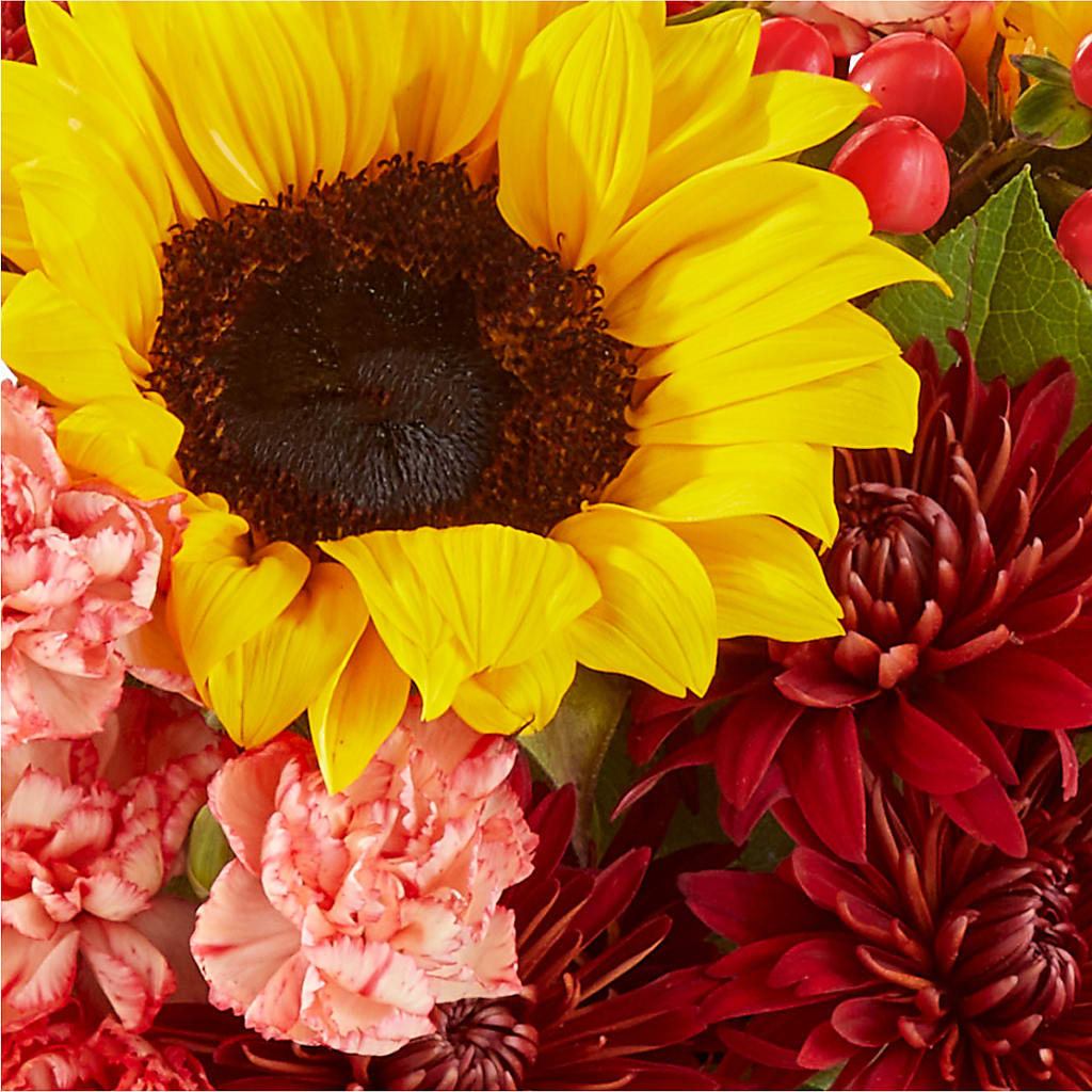 Fresh Cider Bouquet –  Fred Meyer, Portland OR