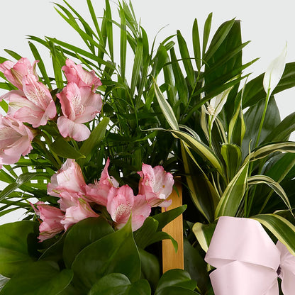 Living Spirit Dishgarden –  Fred Meyer, Portland OR