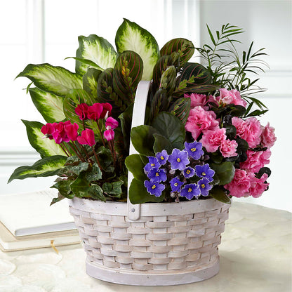 Peaceful Garden Planter –  Fred Meyer, Portland OR