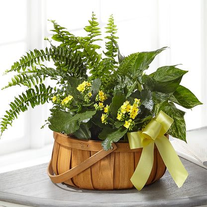 Always Dear Dishgarden –  Fred Meyer, Portland OR