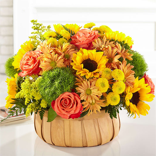 Harvest Sunflower Basket –  Fred Meyer, Portland OR