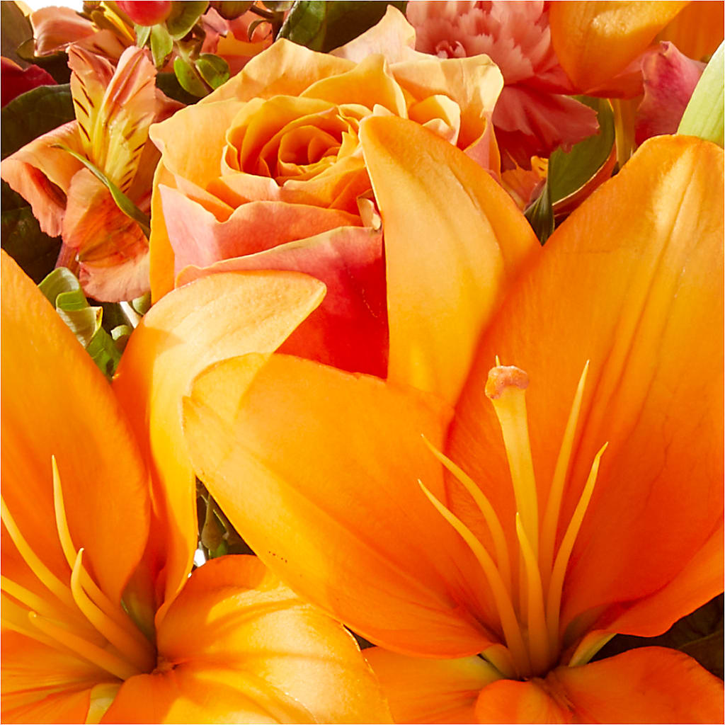 Afternoon Light Bouquet –  Fred Meyer, Portland OR