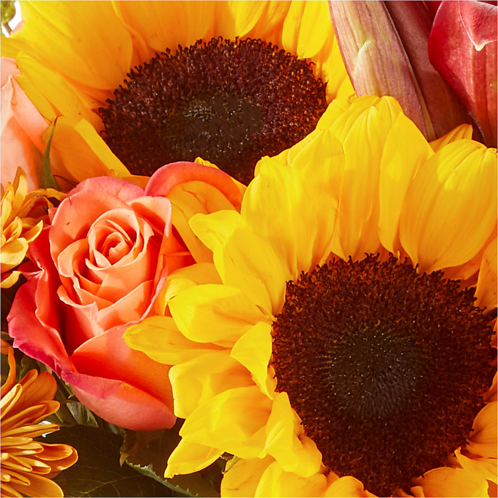 Acorn Lane Bouquet –  Fred Meyer, Portland OR