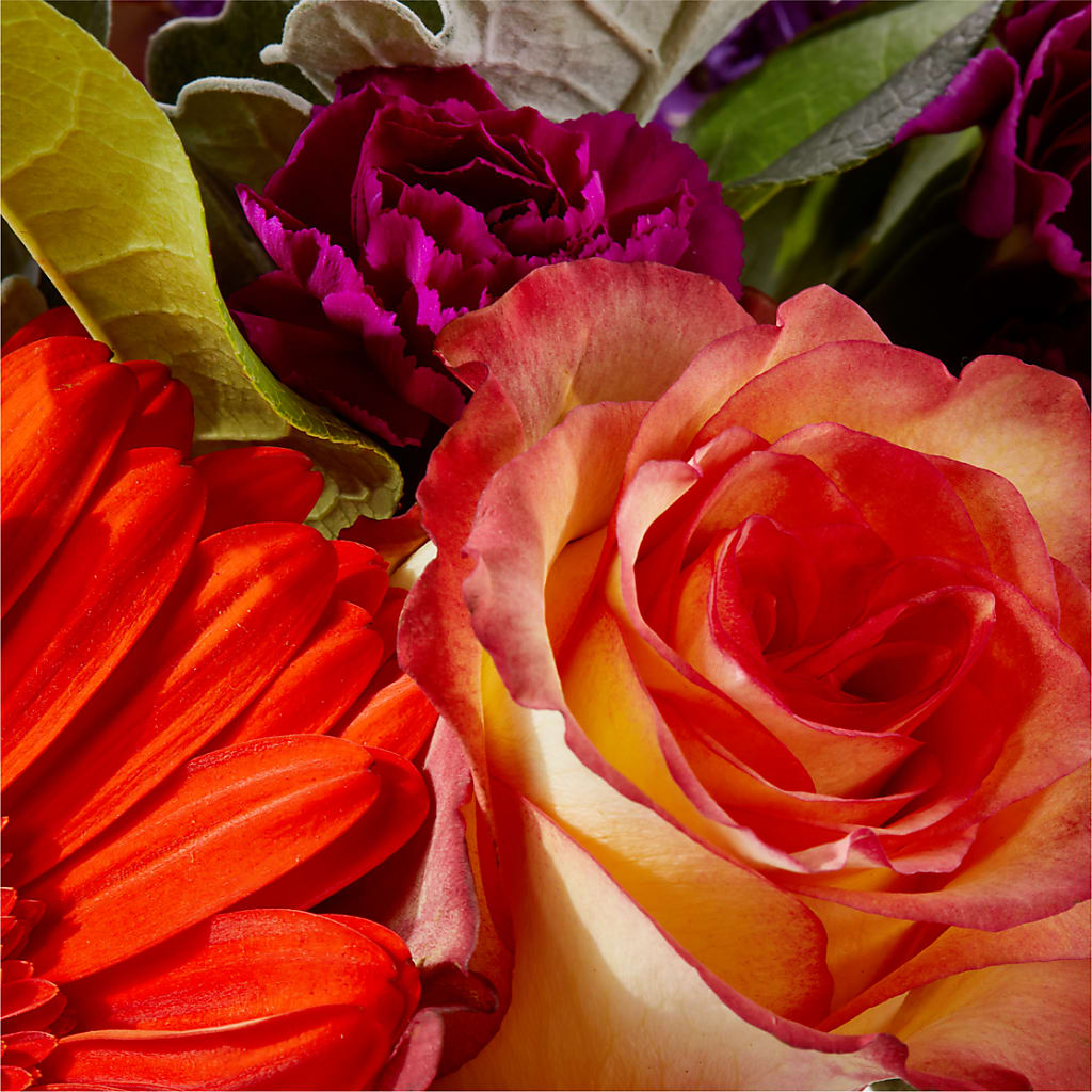 Sangria Bouquet –  Fred Meyer, Portland OR