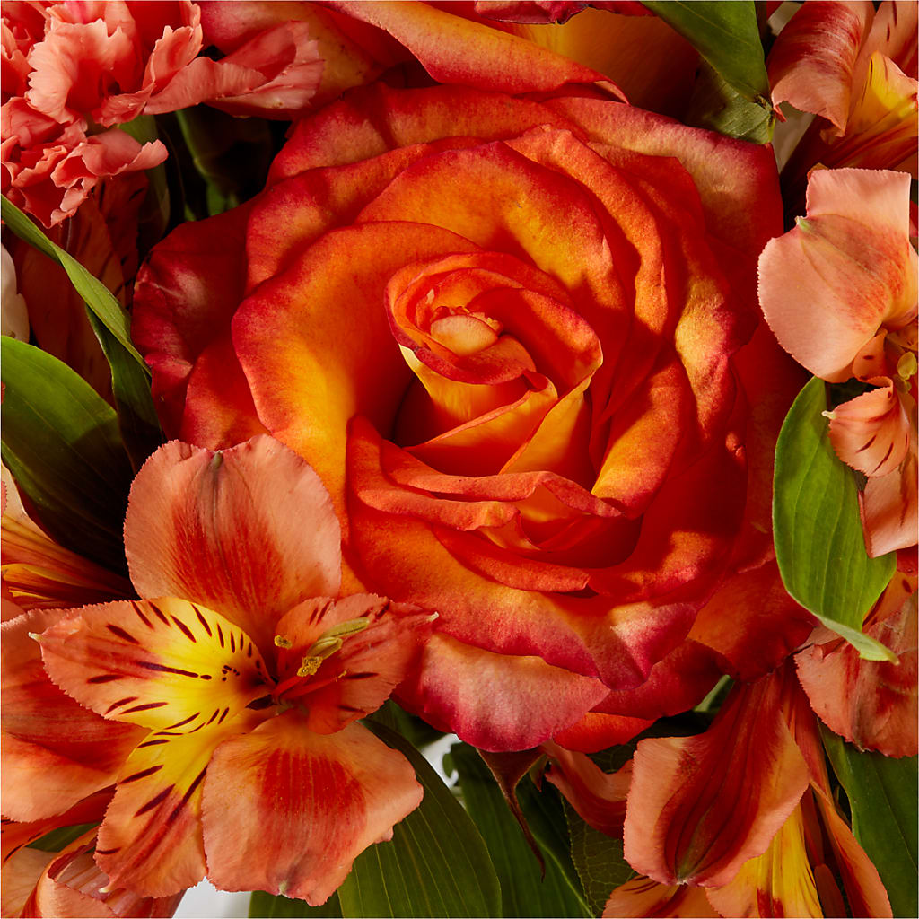 Apricot Glow Bouquet –  Fred Meyer, Portland OR