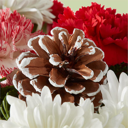 Candy Cane Lane Bouquet –  Fred Meyer, Portland OR