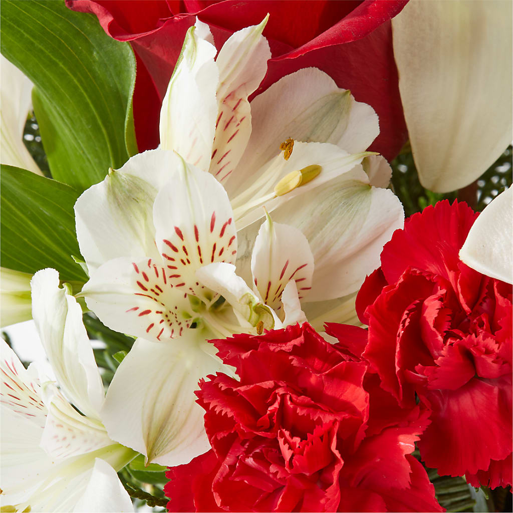 Holiday Season Bouquet –  Fred Meyer, Portland OR
