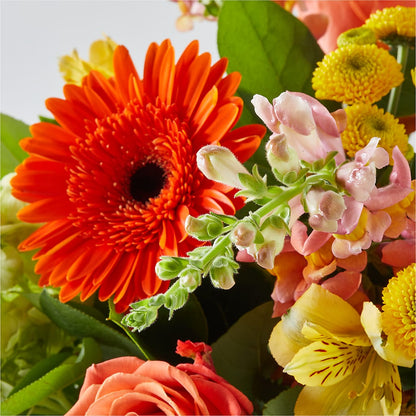 Autumn Sunshine Bouquet –  Fred Meyer, Portland OR