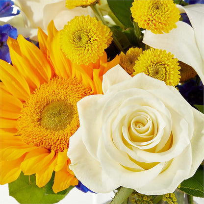 Stargazing Bouquet –  Fred Meyer, Portland OR