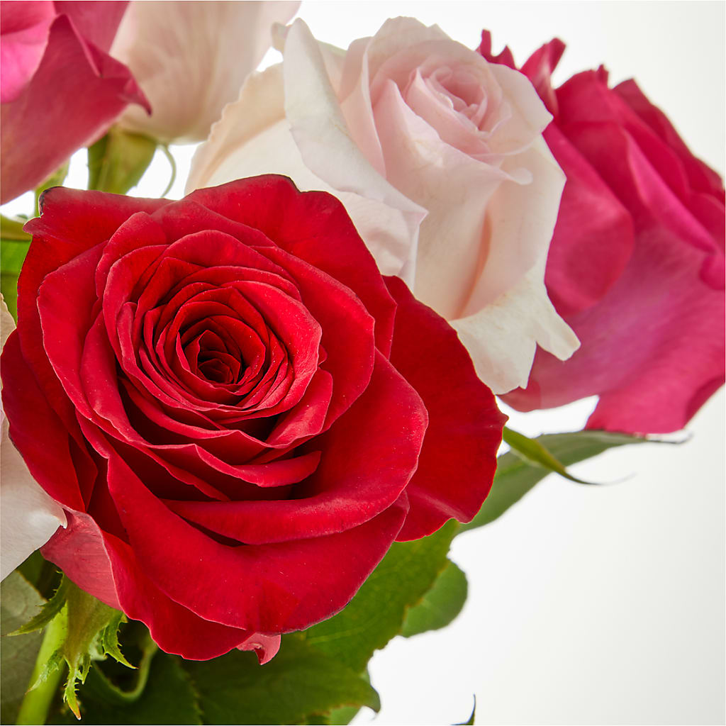 Charming Rose Bouquet –  Fred Meyer, Portland OR