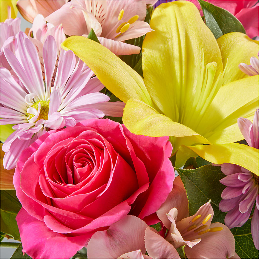 Sprinkles Bouquet –  Fred Meyer, Portland OR