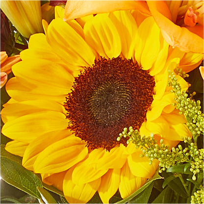 Seasons Change Bouquet –  Fred Meyer, Portland OR