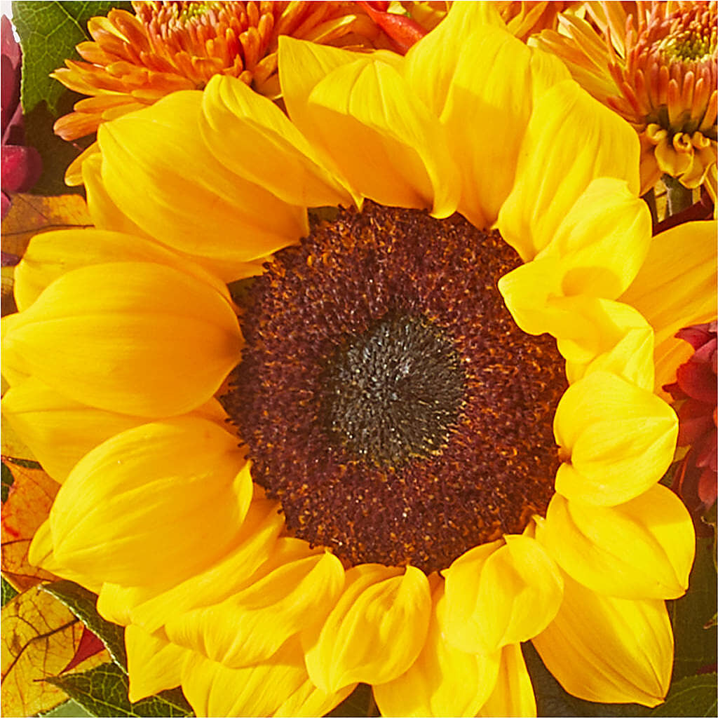 Sunny Side Bouquet –  Fred Meyer, Portland OR
