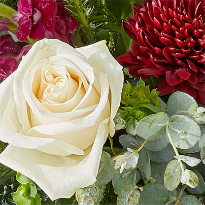 Cranberry Fizz Bouquet –  Fred Meyer, Portland OR