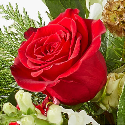 Deck the Halls Bouquet –  Fred Meyer, Portland OR