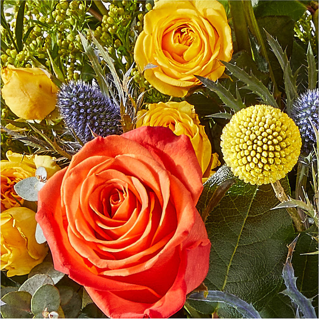 Disco Bouquet –  Fred Meyer, Portland OR