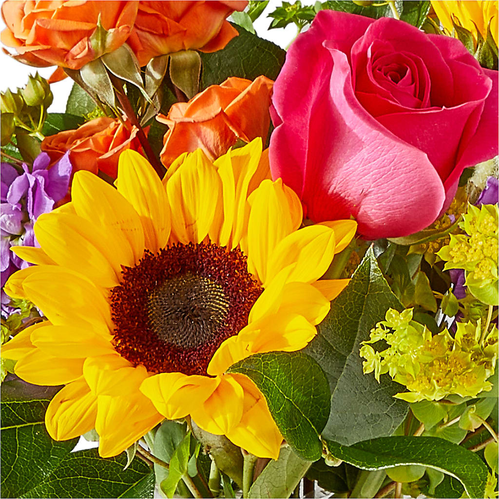 Vibrant Greetings Bouquet –  Fred Meyer, Portland OR